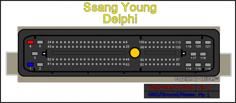 800px-Sang_Young_Delphi.jpg.1aec47cf02ee22d9c3dd95a26545381f.jpg