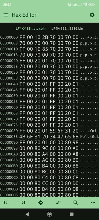 Screenshot_2024-08-24-20-57-01-486_tk.yunus.hexeditor.jpg
