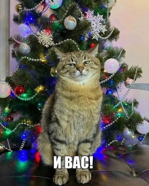 FB_IMG_1767179525433.jpg