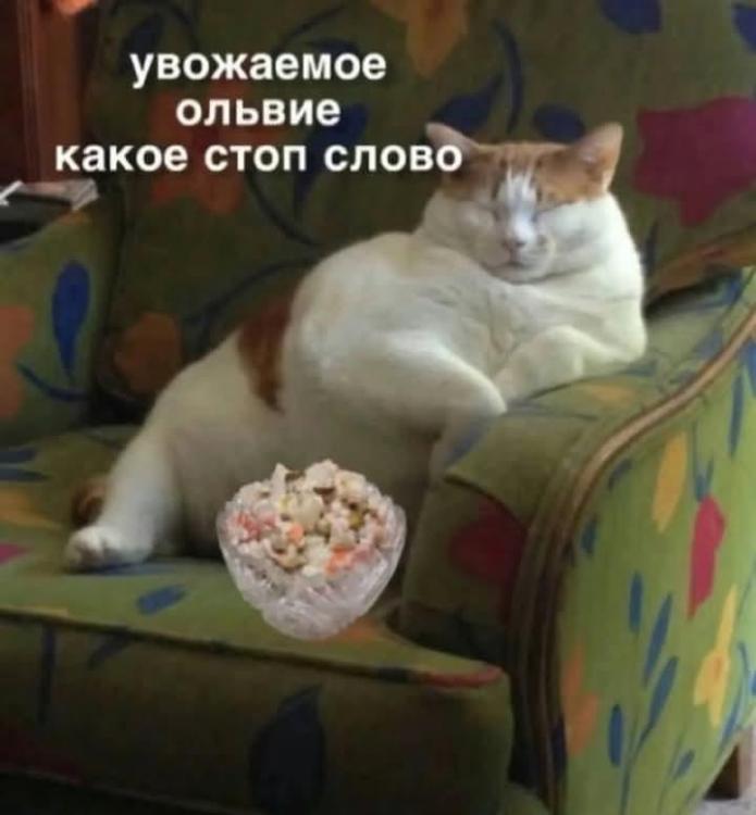FB_IMG_1767382237987.jpg