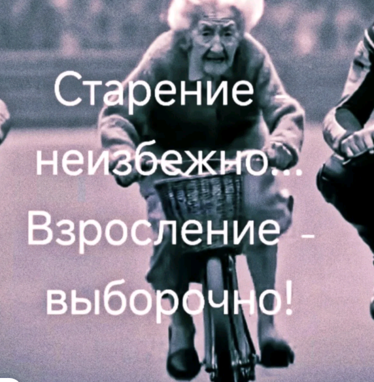 IMG-bb049c85e2670e58c19642a940a21350-V.jpg