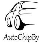 AutoChipBy