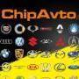 Chip_auto